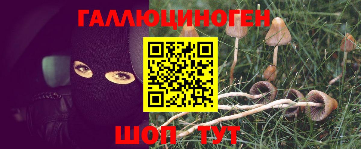 Псилоцибиновые грибы MAGIC MUSHROOMS  Вход с VPN  Трёхгорный 